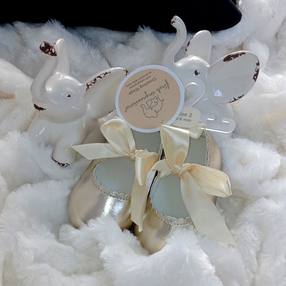 Precious Silk ribbon soft soled shoes